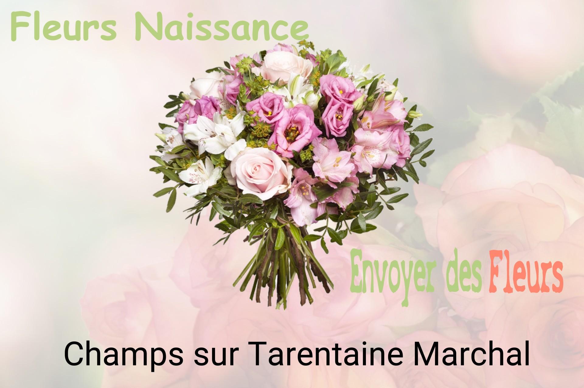 Bouquet de fleurs de naissance livré à Champs-sur-Tarentaine-Marchal